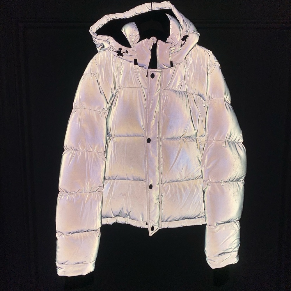 The Aritzia Super Puff Shorty in the Reflective Silver Color - Picture 4 of 5